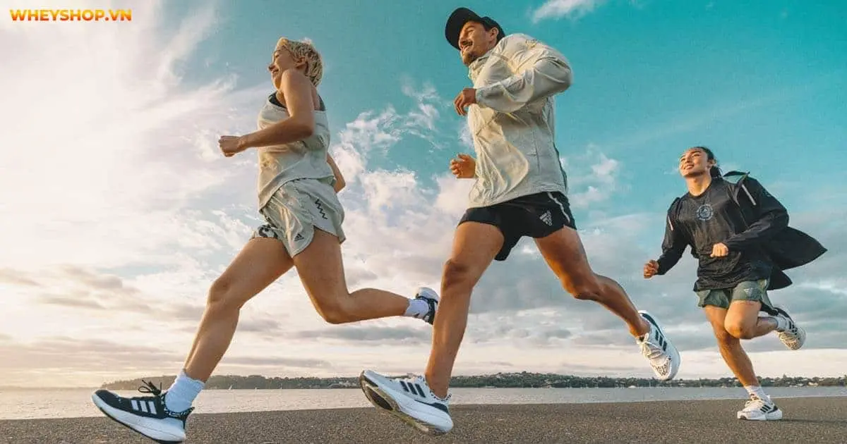 chay-bo-10km-moi-ngay-2