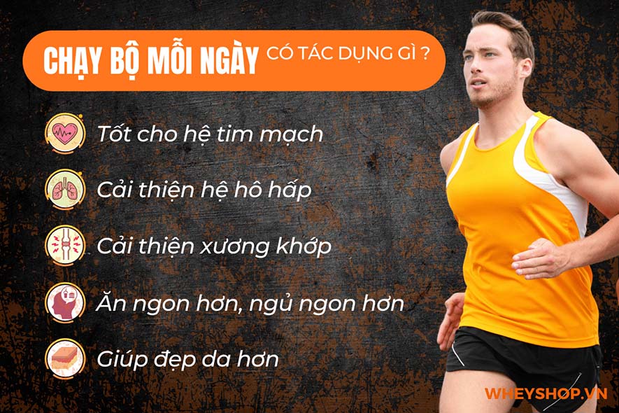 wheyshop.vn cùng bạn tìm hiểu xem chạy bộ có tác dụng gì, chạy bộ có giúp giảm cân, giảm mỡ bụng không và làm thế nào để chạy bộ đạt hiệu quả tốt nhất nhé.