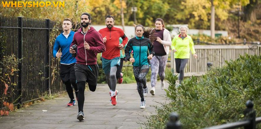 wheyshop.vn cùng bạn tìm hiểu xem chạy bộ có tác dụng gì, chạy bộ có giúp giảm cân, giảm mỡ bụng không và làm thế nào để chạy bộ đạt hiệu quả tốt nhất nhé.