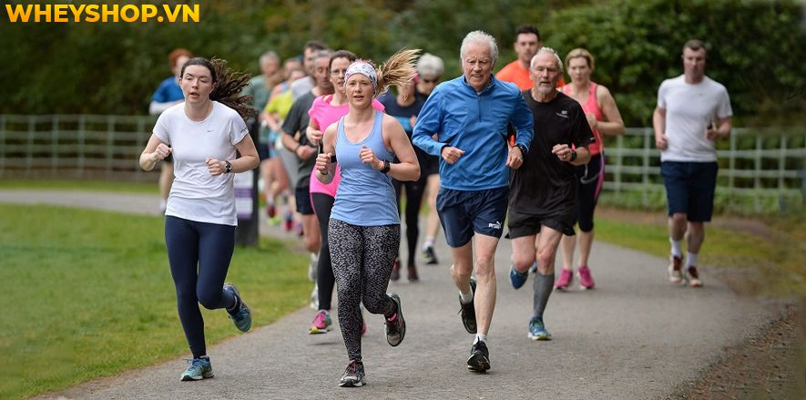 wheyshop.vn cùng bạn tìm hiểu xem chạy bộ có tác dụng gì, chạy bộ có giúp giảm cân, giảm mỡ bụng không và làm thế nào để chạy bộ đạt hiệu quả tốt nhất nhé.
