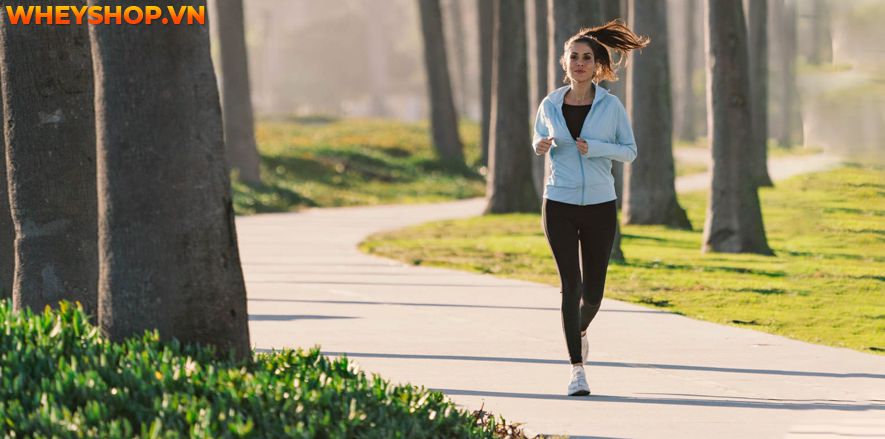 Nếu bạn đang băn khoăn thắc mắc về việc chạy bộ có làm to bắp chân không thì hãy cùng WheyShop tham khảo chi tiết ngay bài viết này ...