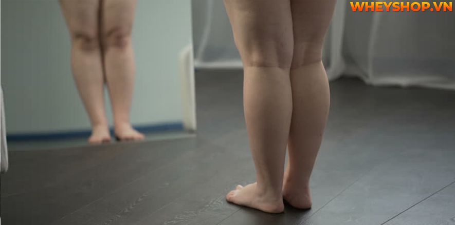 Nếu bạn đang băn khoăn thắc mắc về việc chạy bộ có làm to bắp chân không thì hãy cùng WheyShop tham khảo chi tiết ngay bài viết này ...
