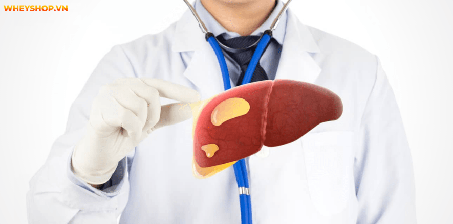 Bạn thường xuyên chạy bộ tuy nhiên sự thật chạy bộ có tốt cho gan không? WheyShop sẽ giúp bạn giải đáp thắc mắc này nhé!