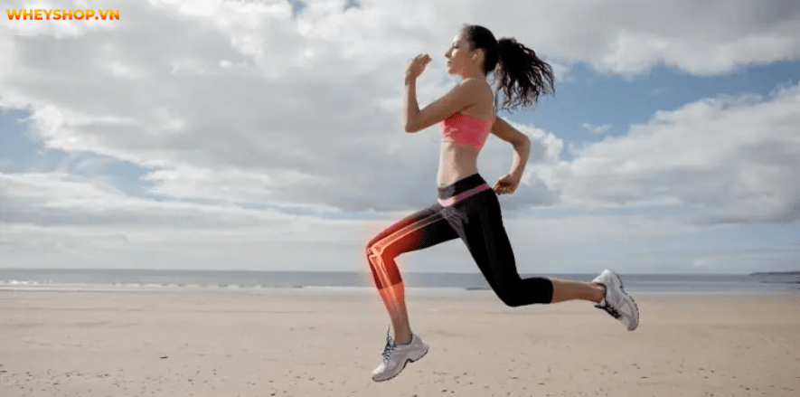 Các bạn có biết hết các phương pháp chạy hiện nay không? Hôm nay WheyShop sẽ cung cấp 1 kiến thức hoàn toàn mới mẻ trong bộ môn chạy Chạy Interval là gì? Hãy...