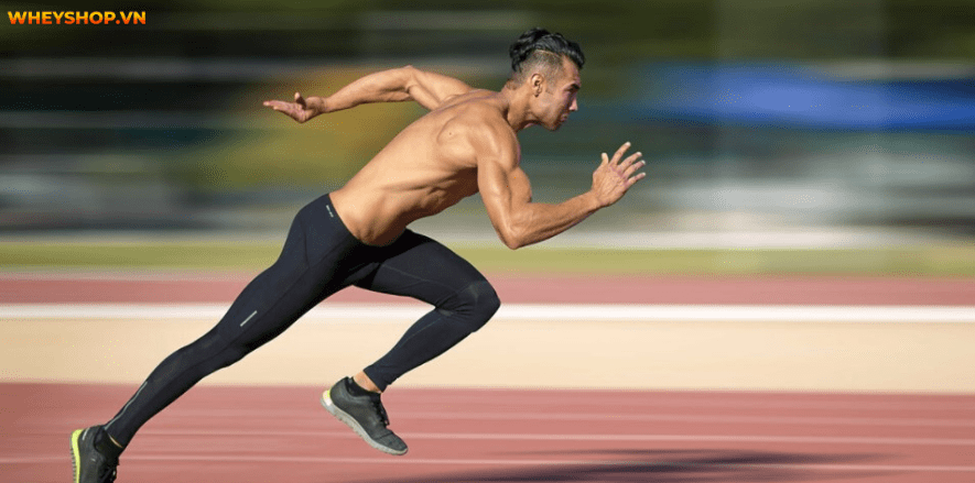 Các bạn có biết hết các phương pháp chạy hiện nay không? Hôm nay WheyShop sẽ cung cấp 1 kiến thức hoàn toàn mới mẻ trong bộ môn chạy Chạy Interval là gì? Hãy...