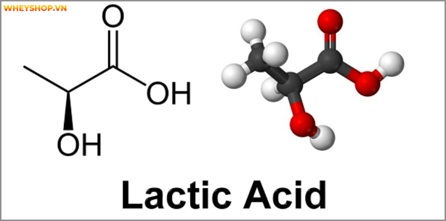 Các bạn có biết hết các phương pháp chạy hiện nay không? Hôm nay WheyShop sẽ cung cấp 1 kiến thức hoàn toàn mới mẻ trong bộ môn chạy Chạy Interval là gì? Hãy...