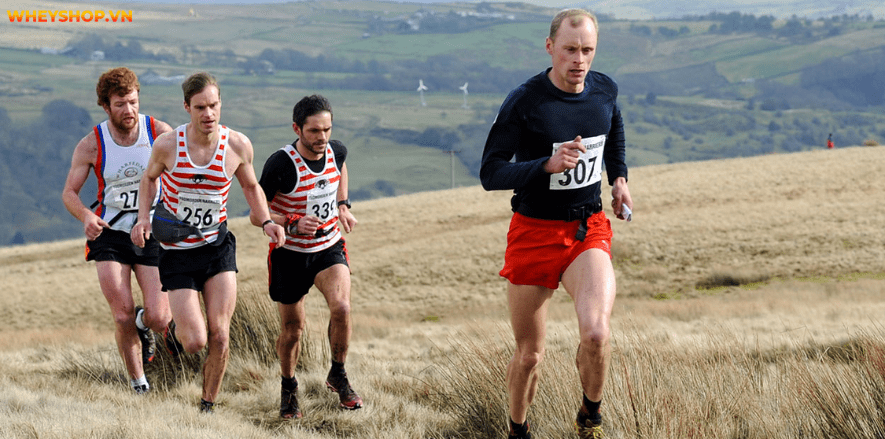 Chạy việt dã là gì? 4 Lợi ích bất ngờ khi chạy việt dã? hãy cùng WheyShop tham khảo cách chạy việt dã như 1 vận động viên chuyên nghiệp