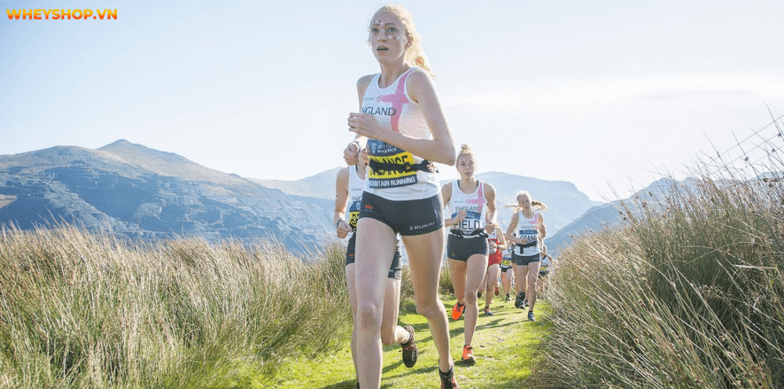 Chạy việt dã là gì? 4 Lợi ích bất ngờ khi chạy việt dã? hãy cùng WheyShop tham khảo cách chạy việt dã như 1 vận động viên chuyên nghiệp