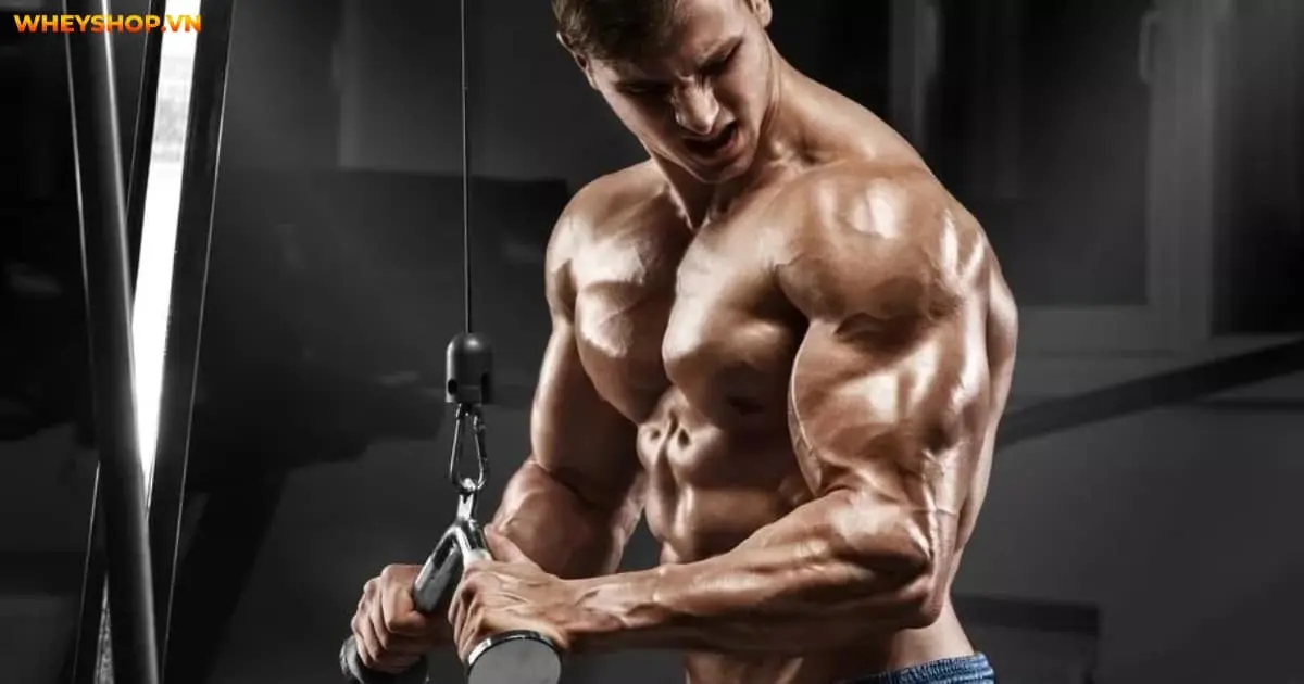 che-do-an-cho-nguoi-tap-gym-3