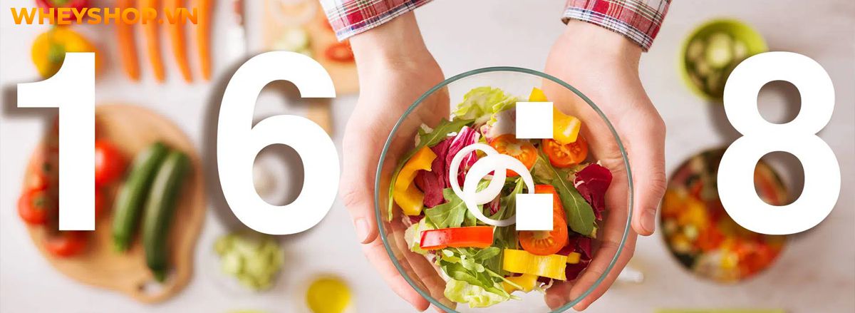 Nếu bạn đang tìm kiếm chế độ giảm cân hiệu quả, khoa học thì hãy cùng WheyShop điểm qua 8 chế độ giảm cân trong bài viết...