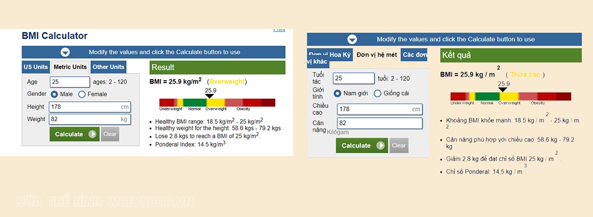 Chỉ số BMI là gì ? Công thức tính chỉ số BMI tăng cân giảm mỡ chính xác nhất. Công cụ tính BMI online hiệu quả chính xác nhất.