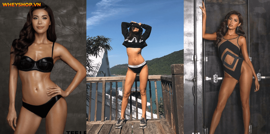 Tìm hiểu cơ bụng 11 là gì ? Bài viết này WheyShop sẽ bật mí cho bạn các bài tập để có cơ bụng số 11 nhanh nhất, đơn giản và hiệu quả nhất ...