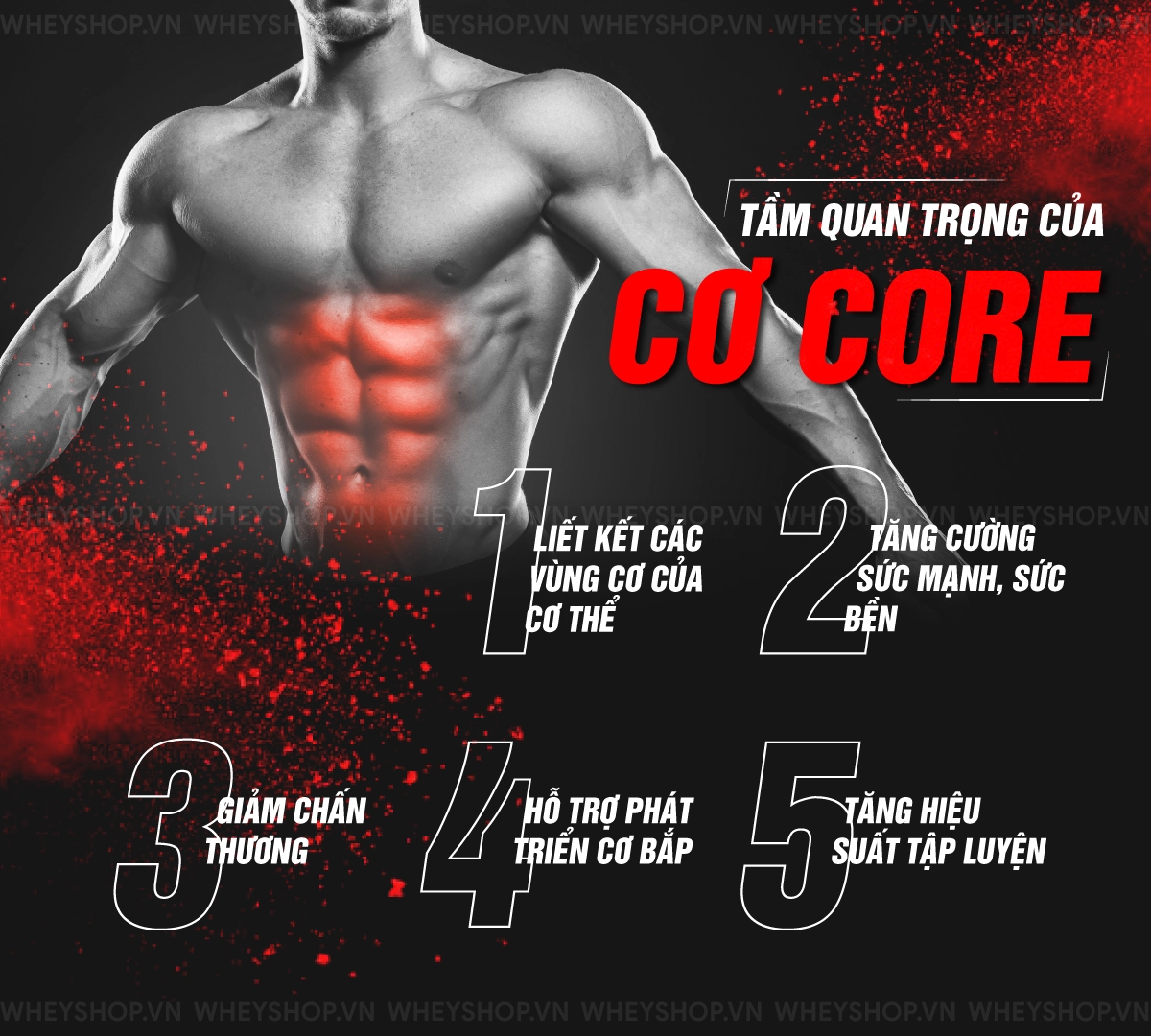 co-core-la-gi-5-vai-tro-cua-co-cot-loi-core-muscle(6)