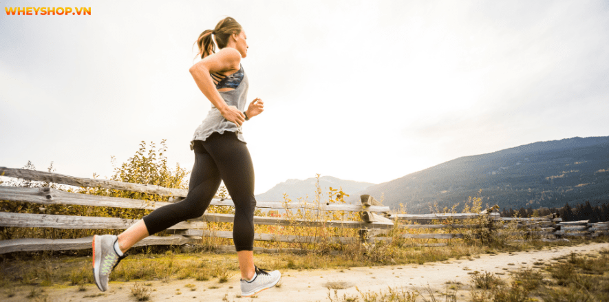 Lý do khiến phụ nữ không tập thể thao đều đặn được là chu kỳ kinh nguyệt. Hãy cùng WheyShop tìm hiểu có nên ch���y bộ khi có kinh nguyệt không nhé!