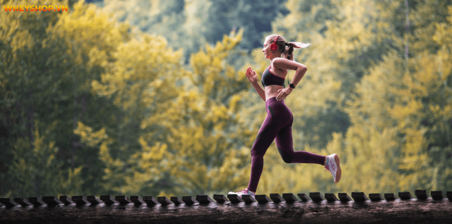 Lý do khiến phụ nữ không tập thể thao đều đặn được là chu kỳ kinh nguyệt. Hãy cùng WheyShop tìm hiểu có nên chạy bộ khi có kinh nguyệt không nhé!