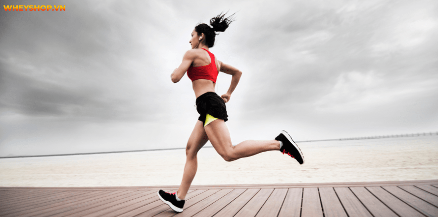 Chạy bộ lúc 5 giờ sáng giúp nâng cao sức khỏe và giúp tinh thần phấn trấn Hãy cùng WheyShop tìm hiểu có nên chạy bộ lúc 5 giờ sáng không nhé