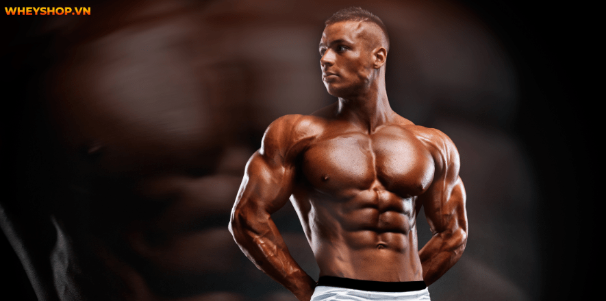 Chạy bộ lúc 5 giờ sáng giúp nâng cao sức khỏe và giúp tinh thần phấn trấn Hãy cùng WheyShop tìm hiểu có nên chạy bộ lúc 5 giờ sáng không nhé