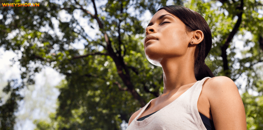 Chạy bộ lúc 5 giờ sáng giúp nâng cao sức khỏe và giúp tinh thần phấn trấn Hãy cùng WheyShop tìm hiểu có nên chạy bộ lúc 5 giờ sáng không nhé