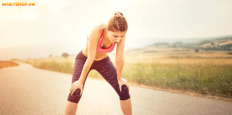 Chạy bộ lúc 5 giờ sáng giúp nâng cao sức khỏe và giúp tinh thần phấn trấn Hãy cùng WheyShop tìm hiểu có nên chạy bộ lúc 5 giờ sáng không nhé