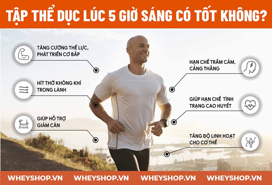 Chạy bộ lúc 5 giờ sáng giúp nâng cao sức khỏe và giúp tinh thần phấn trấn Hãy cùng WheyShop tìm hiểu có nên chạy bộ lúc 5 giờ sáng không nhé