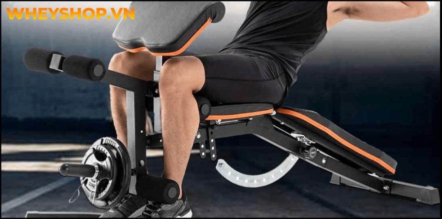 Giàn tạ đa năng là thiết bị phổ biến của các tín đồ tập gym, nó được ví như một phòng tập gym thu nhỏ ở chỗ được tích hợp nhiều bài tập thể hình, từ đơn giản...
