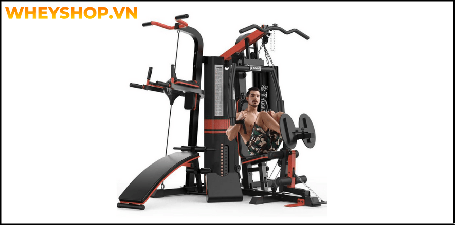 Giàn tạ đa năng là thiết bị phổ biến của các tín đồ tập gym, nó được ví như một phòng tập gym thu nhỏ ở chỗ được tích hợp nhiều bài tập thể hình, từ đơn giản...