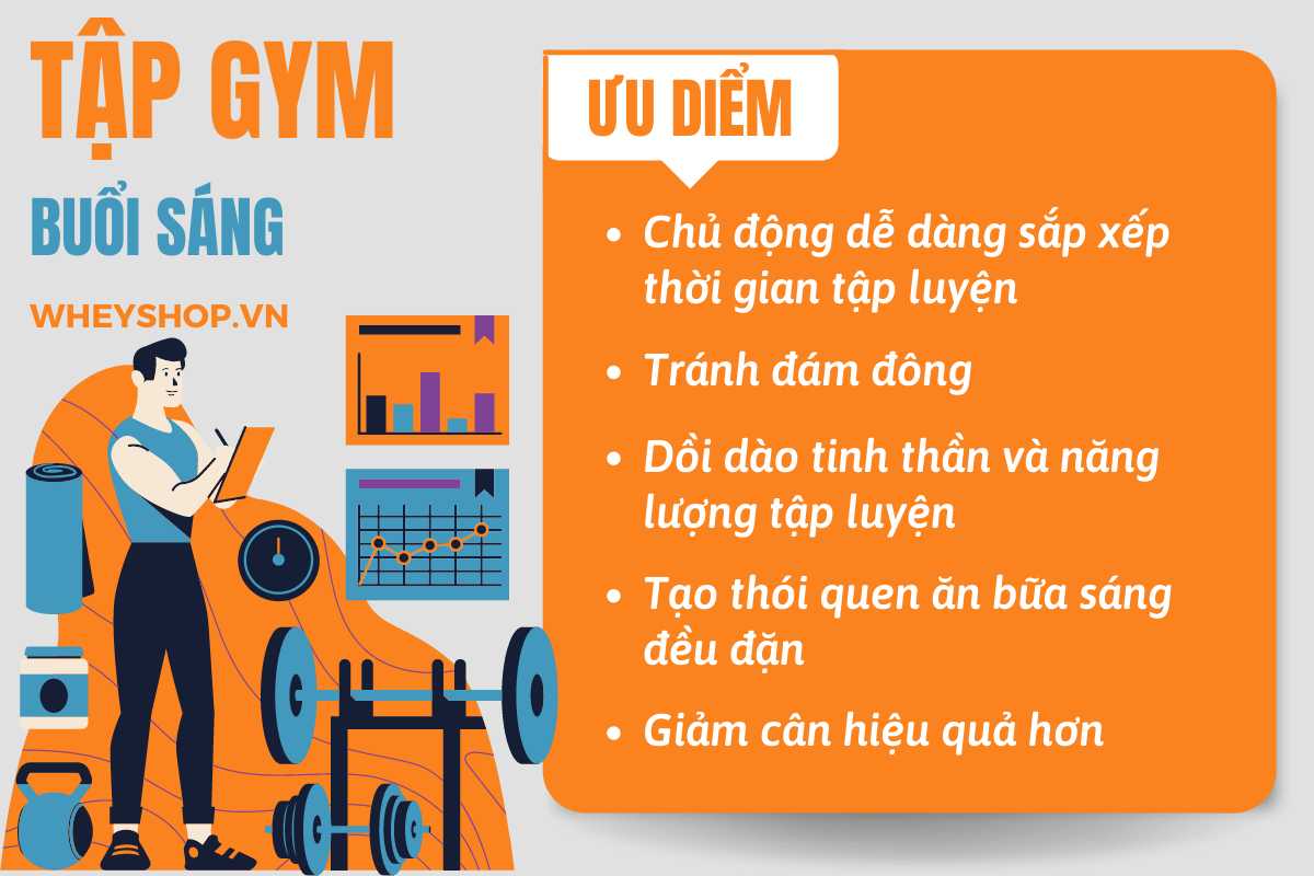 Nếu bạn đang băn khoăn có nên tập gym cả sáng và chiều thì hãy cùng WheyShop tìm hiểu chi tiết bài viết để giải đáp thắc mắc...