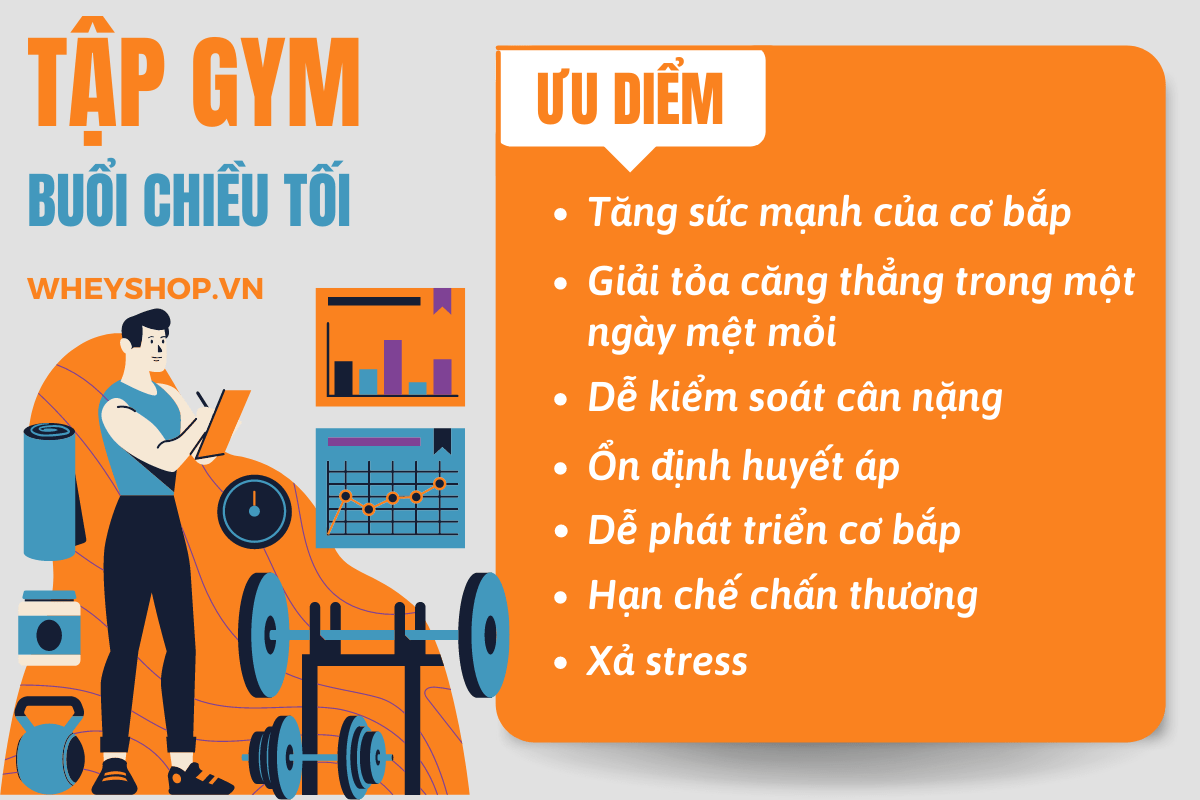 Nếu bạn đang băn khoăn có nên tập gym cả sáng và chiều thì hãy cùng WheyShop tìm hiểu chi tiết bài viết để giải đáp thắc mắc...
