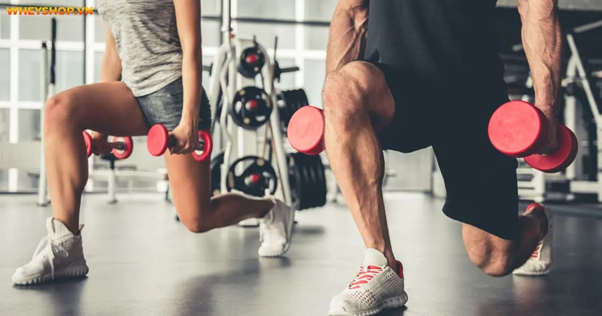 co-nen-tap-the-hinh-sang-va-chieu-3