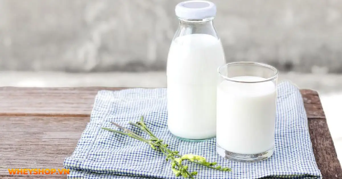 co-nen-uong-sua-truoc-khi-tap-gym-buoi-sang-03-min