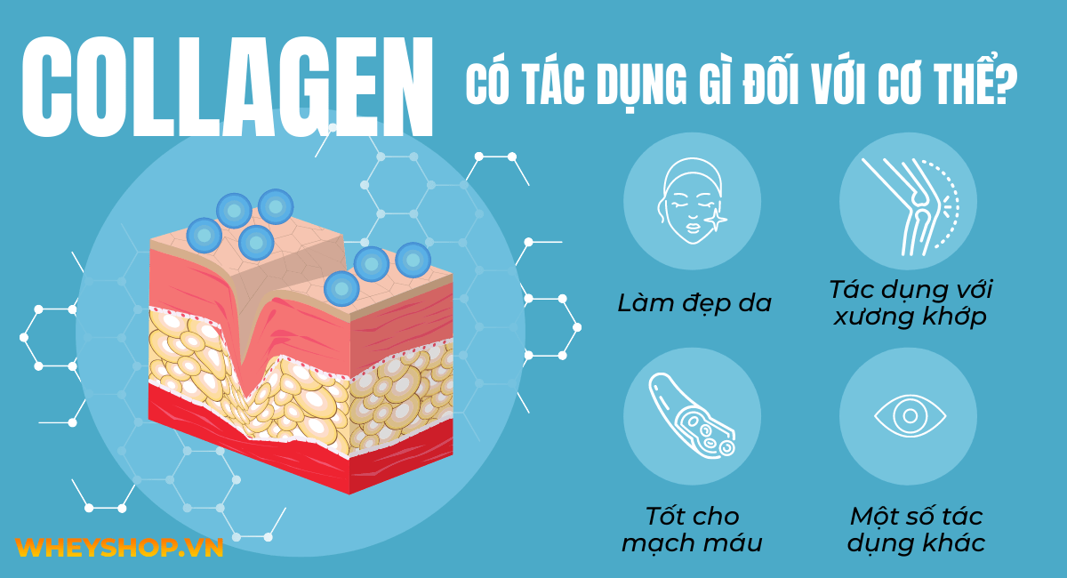 Collagen luôn được chị em phụ nữ truyền tai nhau về công dụng của việc giữ gìn sắc đẹp và chăm sóc sức khỏe đặc biệt. Biết được collagen có tác dụng gì sẽ...