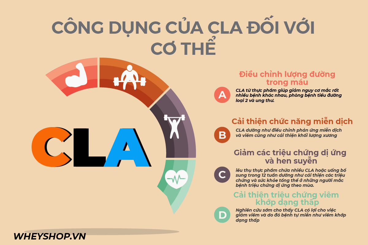 CLA là gì? Axit linoleic liên hợp gọi tắt là CLA, có tác dụng đối với việc giảm béo của những người đang thực hiện chế độ giảm cân, ăn kiêng hay không?