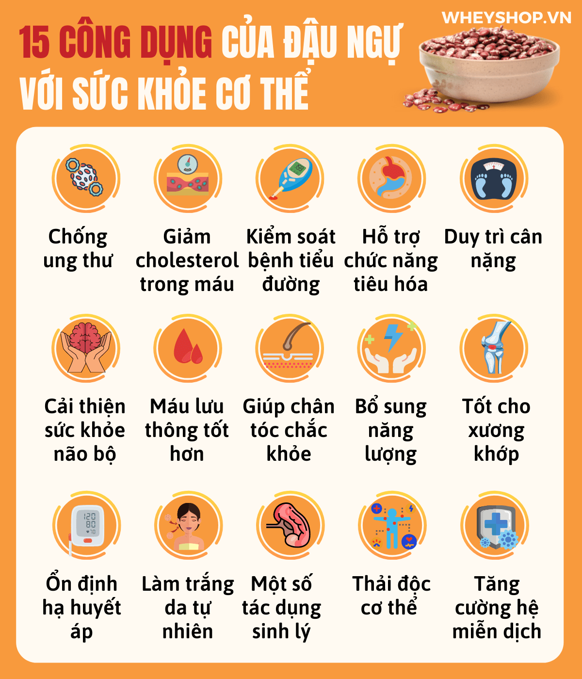 Nếu bạn đang băn khoăn về công dụng của Đậu Ngự thì hãy cùng WheyShop tham khảo 15 công dụng của Đậu Ngự qua bài viết ngay sau đây...