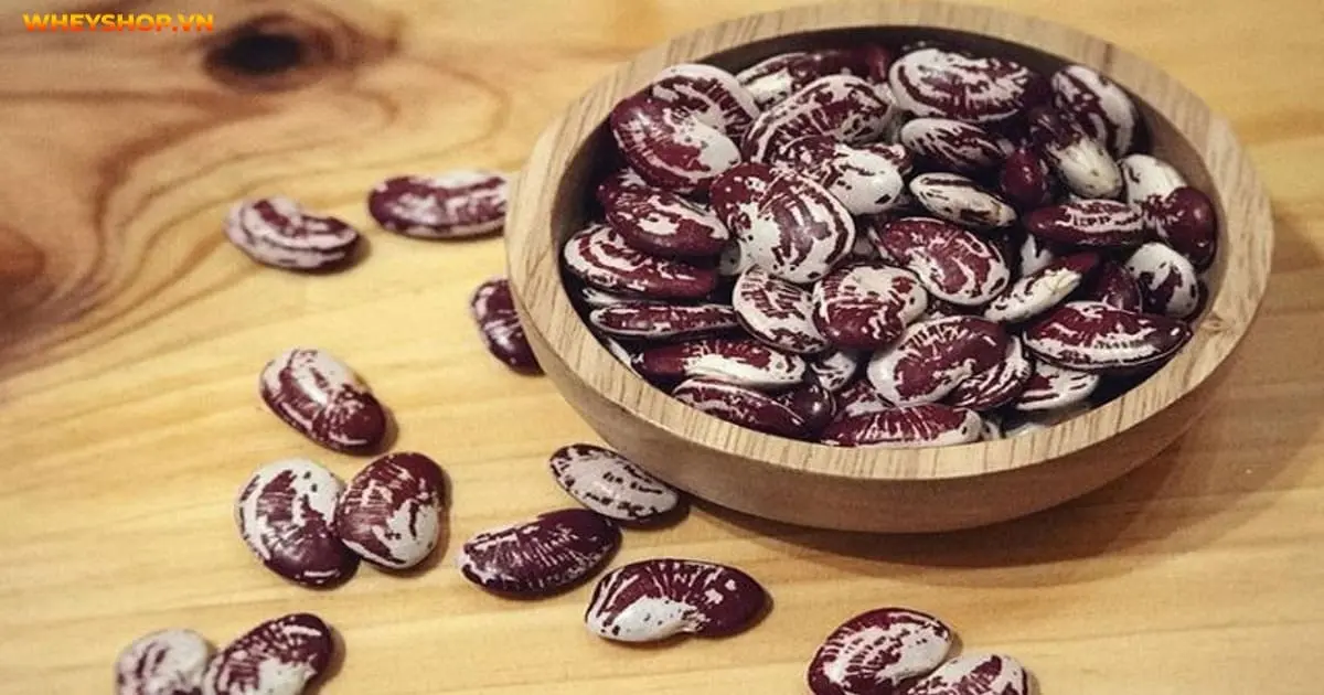 cong-dung-cua-dau-ngu