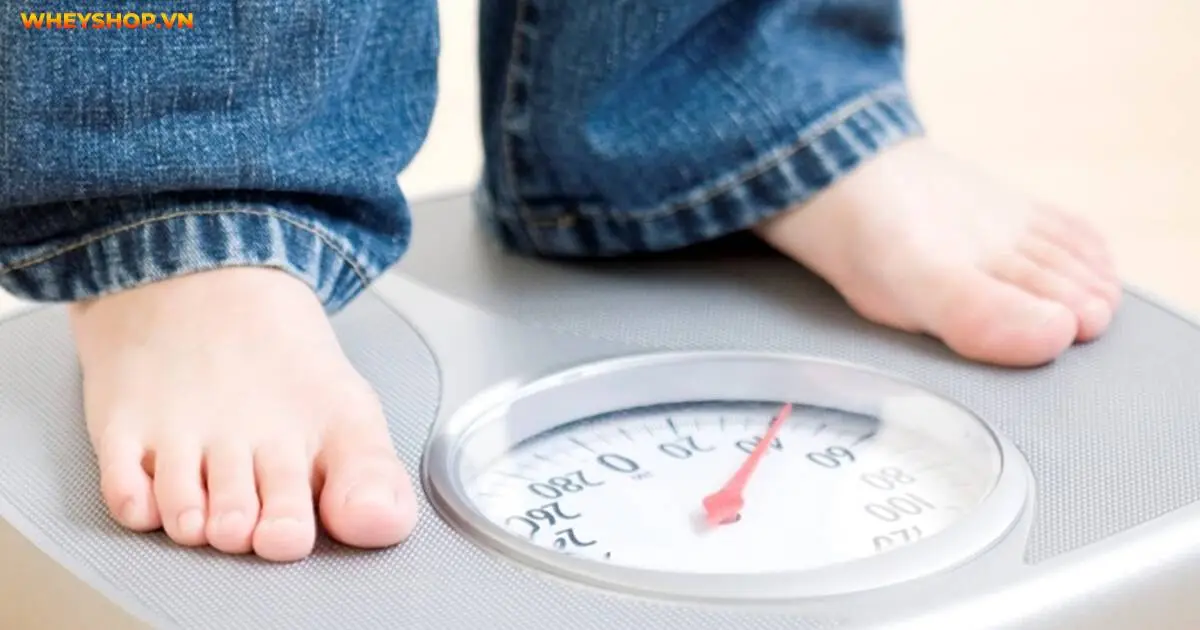 cong-dung-cua-dau-ngu