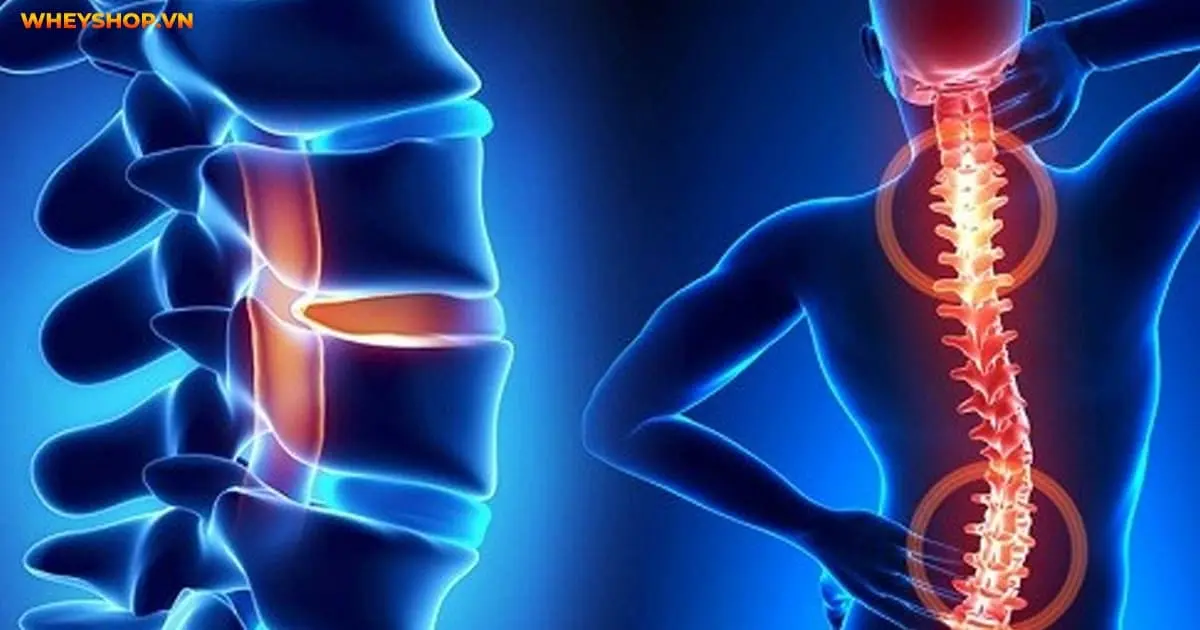 cong-dung-cua-dau-ngu