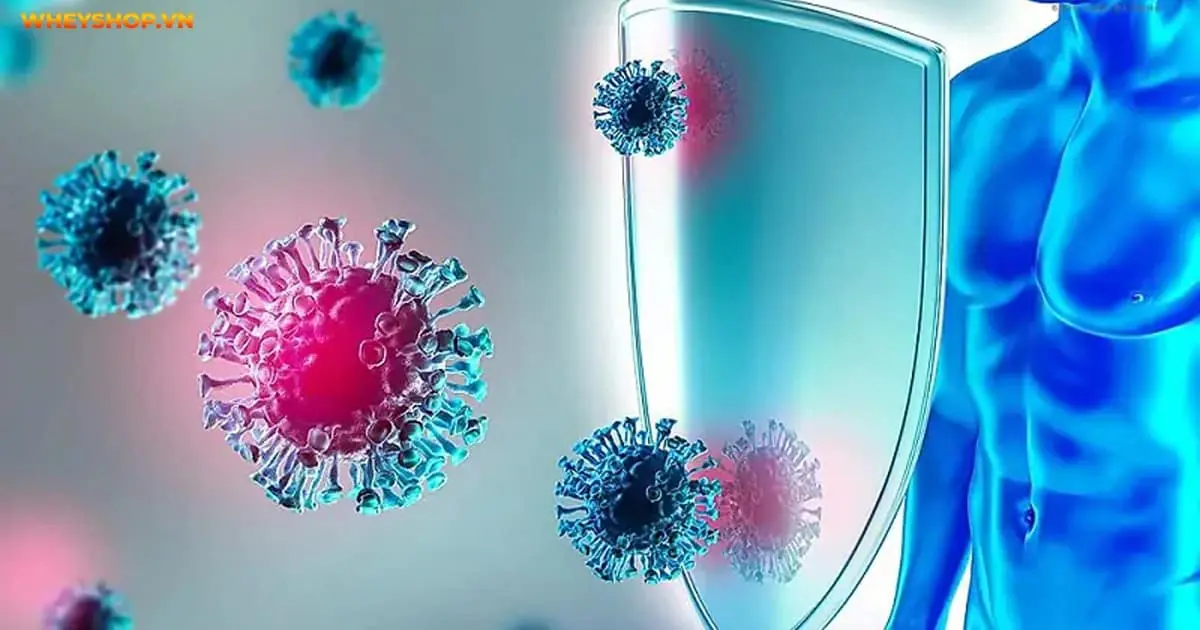 cong-dung-cua-dau-ngu