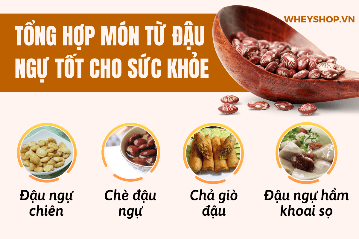 Nếu bạn đang băn khoăn về công dụng của Đậu Ngự thì hãy cùng WheyShop tham khảo 15 công dụng của Đậu Ngự qua bài viết ngay sau đây...