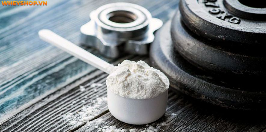 Nếu bạn đang băn khoăn tìm hiểu về Creatine HCL là gì thì hãy cùng WheyShop tham khảo bài viết so sánh đánh giá Creatine HCL và Creatine Monohydrate qua bài viết...