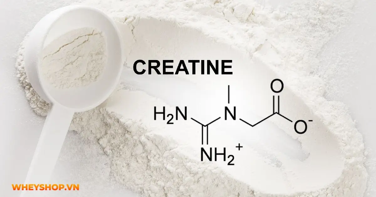 creatine-la-gi-tac-dung-cua-no-doi-voi-nguoi-tap-hinh-min