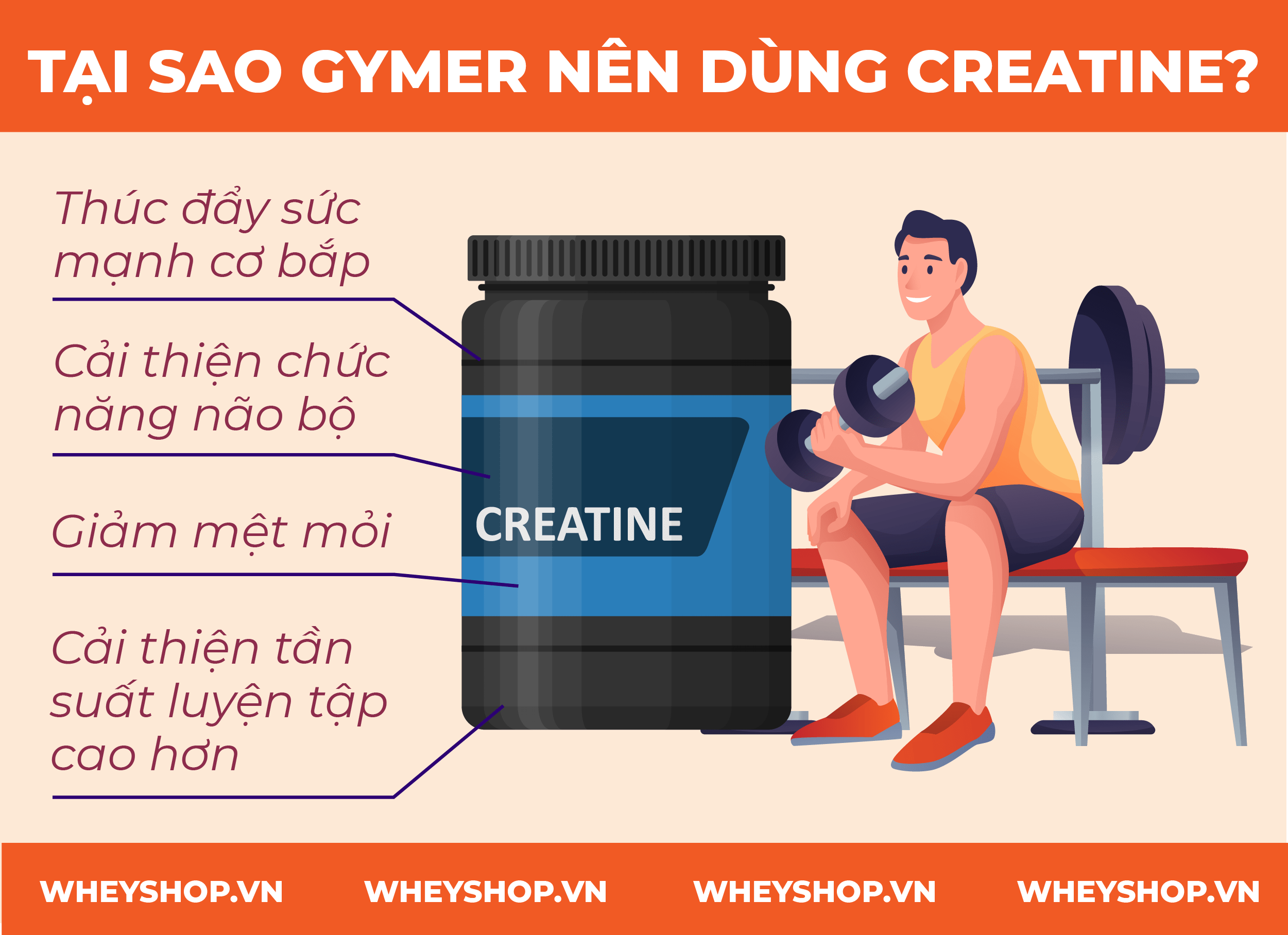 Nếu bạn đang băn khoăn không rõ Creatine uống khi nào và nên pha BCAA, Whey Protein với Creatine hay không thì hãy cùng WheyShop tham khảo bài viết...