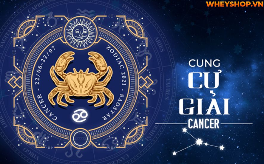 Trong bài viết này, chúng tôi sẽ chia sẻ những thông tin thú vị và bí ẩn về cung Cự Giải với các bạn. Đặc điểm của cung Cự Giải là gì? Tình yêu của họ sẽ như...