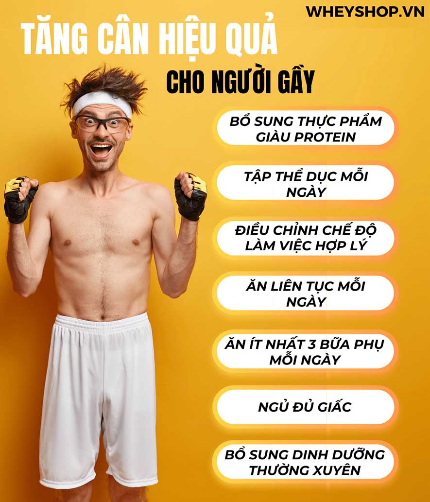 Nếu bạn đang băn khoăn tại sao ăn nhiều mà không béo thì hãy cùng WheyShop tham khảo nguyên nhân qua bài viết ngay sau đây nhé...