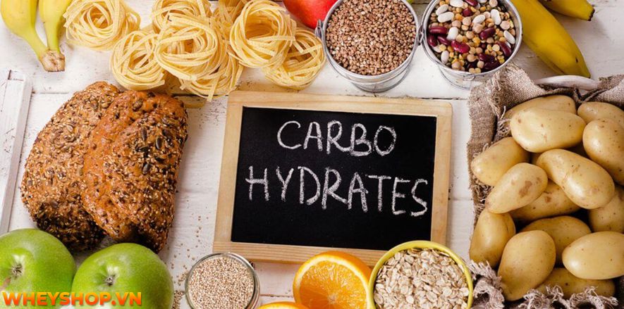 Cutting là gì mà được nhiều gymers truyền tai nhau áp dụng để giảm mỡ và duy trì khối lượng cơ một cách hiệu quả là gì? Những vận động viên thể hình và những...