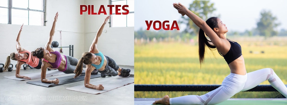 Pilates và Yoga thường bị nhầm lẫn với nhau. Cùng WheyShop đánh giá so sánh Pilates và Yoga : phương pháp nào tốt hơn ? phù hợp đối tượng nào,... qua bài viết