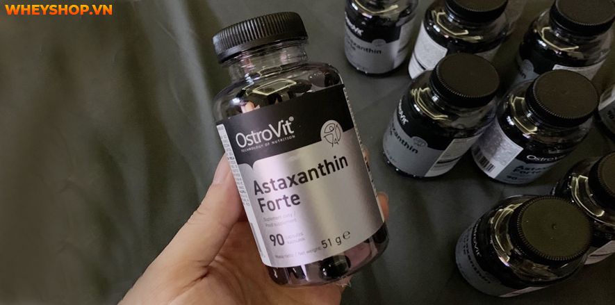 Nếu bạn đang băn khoăn lựa chọn sản phẩm Astaxanthin thì hãy cùng WheyShop review đánh giá đánh giá OstroVit Astaxanthin FORTE có tốt không qua bài viết...