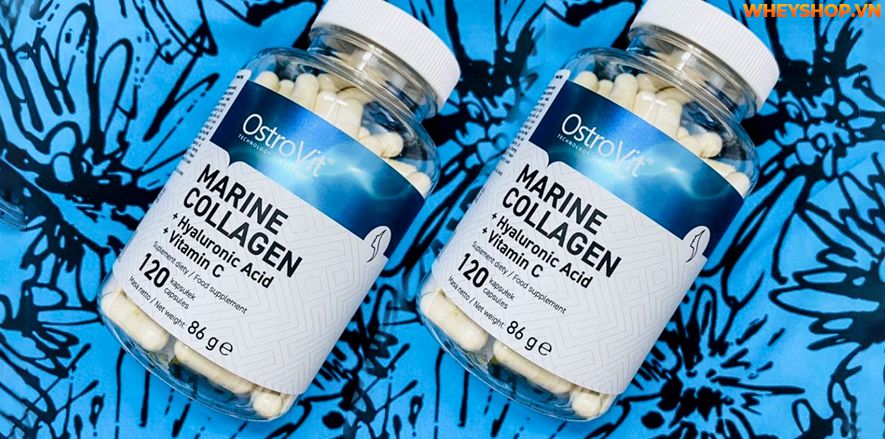 Nếu bạn đang phân vân đánh giá Ostrovit Collagen+Hyaloronic Acid+Vitamin C có tốt không thì hãy cùng WheyShop tham khảo qua bài viết ngay nhé...
