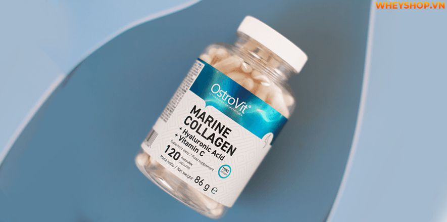 Nếu bạn đang phân vân đánh giá Ostrovit Collagen+Hyaloronic Acid+Vitamin C có tốt không thì hãy cùng WheyShop tham khảo qua bài viết ngay nhé...