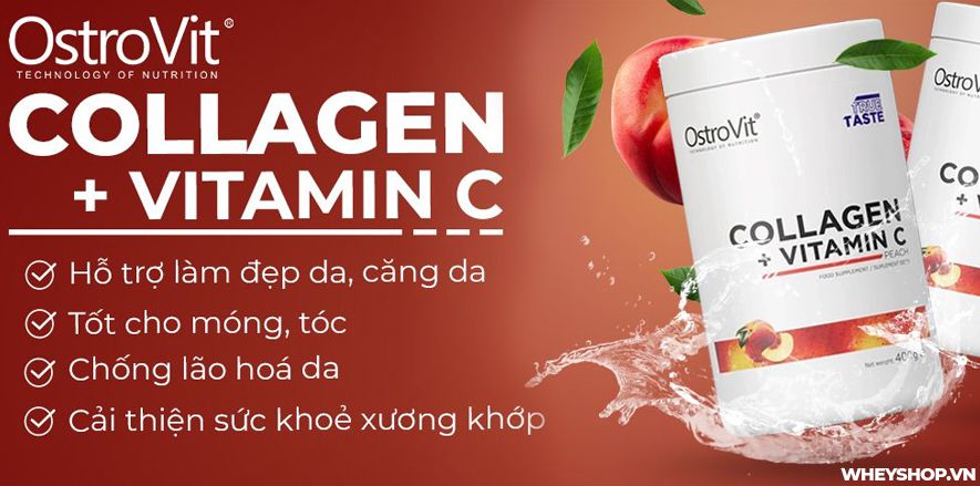 Nếu bạn đang băn khoăn đánh giá Ostrovit Collagen + Vitamin C có tốt không thì hãy cùng WheyShop tìm hiểu review đánh giá sản phẩm qua bài ...