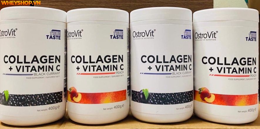 Nếu bạn đang băn khoăn đánh giá Ostrovit Collagen + Vitamin C có tốt không thì hãy cùng WheyShop tìm hiểu review đánh giá sản phẩm qua bài ...